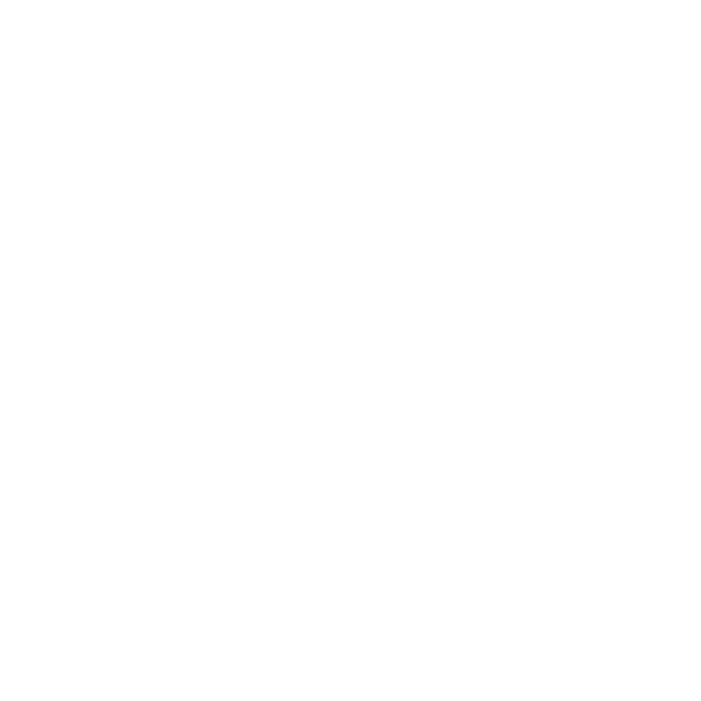 Druids.vip — brand mark and launch site